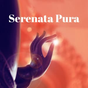 Serenata Pura: Música de relajación y meditación para tener la cabeza fresca - Relajación Mantra Guru