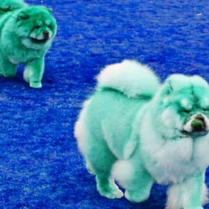 Ambiance for Slumbering Pups - Calming Dog Jazz Classics