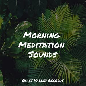Morning Meditation Sounds - Brown Noise
