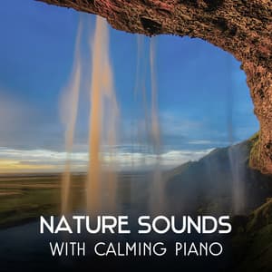 Nature Sounds with Calming Piano – Calm Your Mind, Peaceful Music for Sleeping Problems, Stress Relief, Relaxation Time, Soothing Dreams - Harmony Nature Sounds Academy