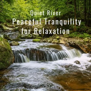Quiet River: Peaceful Tranquility for Relaxation - Riverfall Science