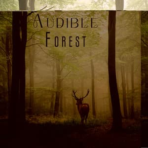 Audible Forest - Restful Music Consort