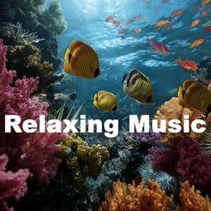 ! ! ! ! Relaxing Music for Peaceful - Música Relajante