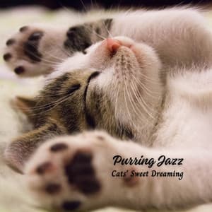 Purring Jazz: Cats' Sweet Dreaming - Chill Jazz Radio