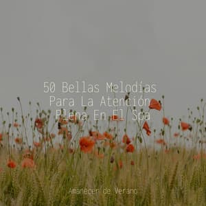 50 Bellas Melodías Para La Atención Plena En El Spa - Sleep Baby Sleep