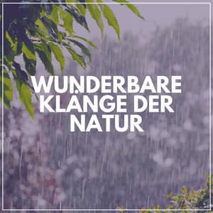 Wunderbare Klänge der Natur - Regen zum Schlafen