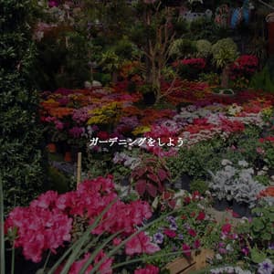 ガーデニングをしよう - Light Morning Music