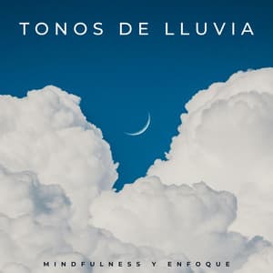 Tonos De Lluvia: Mindfulness Y Enfoque - Grabación de lluvia