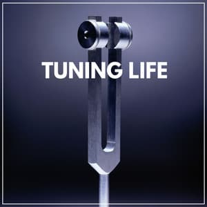 Tuning Life - Binaural Landscapes