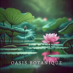 Oasis Botanique - Oasis de Musique Zen Spa