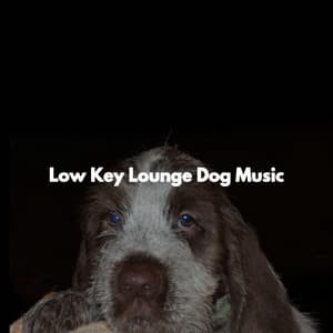 Low Key Lounge Dog Music - Jazz for Chilling