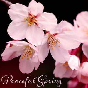 Peaceful Spring: Asian Traditional Flute Sounds with Nature Sounds - Zen Serenity Spa Asian Music Relaxation