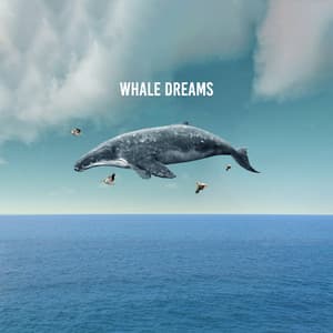 Whale Dreams - Soothing Sounds