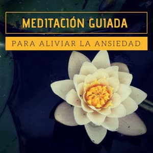 Meditación Guiada para Aliviar la Ansiedad - Técnicas de Respiración y Relajación Muscular Progresiva Paso a Paso - Entrenamiento Autògeno y Meditación Specialistas