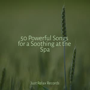 50 Powerful Songs for a Soothing at the Spa - Sonido Del Bosque y Naturaleza