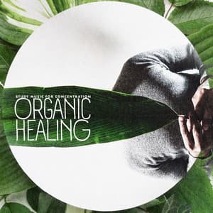 Organic Healing - Study Music For Concentration
