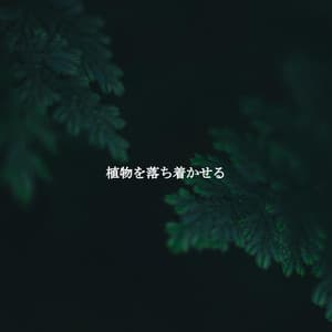植物を落ち着かせる - Work & Jazz