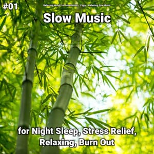 #01 Slow Music for Night Sleep, Stress Relief, Relaxing, Burn Out - Yoga