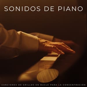 Sonidos De Piano: Canciones De Grillos En Bucle Para La Concentración - Efectos de sonido de la madre naturaleza