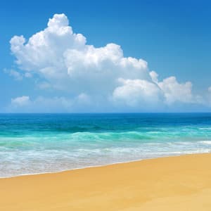 Waves of Stillness: Meditative Oceanic Melodies - Meditation Music Legends