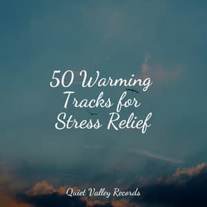 50 Warming Tracks for Stress Relief - Sounds of Nature for Deep Sleep and Relaxation