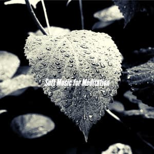 Soft Music for Meditation - Easy Listening Background Music