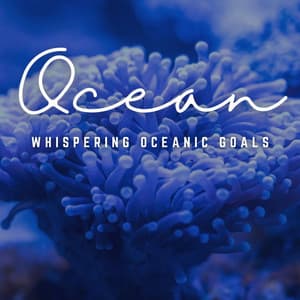 Mystic Ocean Meetings: Workplace Serenity - Ocean Sleep Sounds