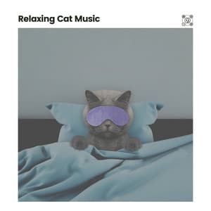 Relaxing Cat Music - Best Relaxing Music