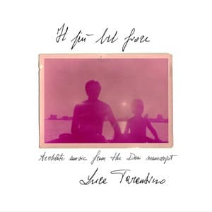 Il più bel fiore - Luca Tarantino