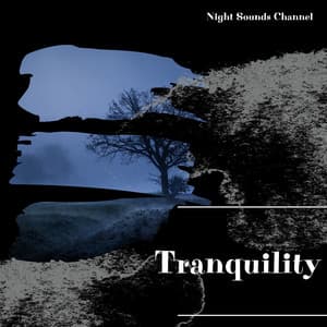 Tranquility: Gentle Night Sounds - Night Sounds Channel