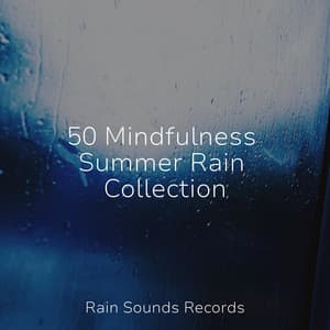 50 Mindfulness Summer Rain Collection - Relaxing Spa Music