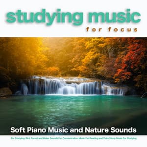 Studying Music For Focus: Soft Piano Music and Nature Sounds For Studying, Bird, Forest and Water Sounds For Concentration, Music For Reading and Calm Study Music For Studying - Music For Studying and Concentration