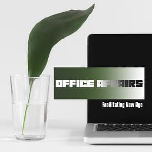 Office Affairs Facilitating New Age - Chill Out 2019