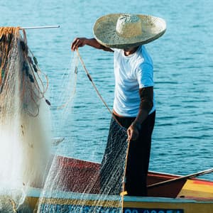 Tranquil Work Transactions: Meditation Music with Waters - Focus and Work
