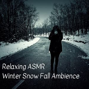 Relaxing ASMR Winter Snow Fall Ambience - Nature Field Recordings