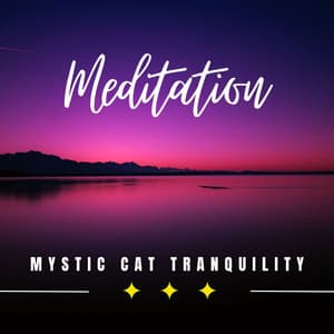 Mystic Cat Tranquility: Finding Peace in Calm - Relaxing Cat Music Therapy