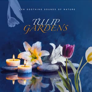 Tulip Gardens - Zen Soothing Sounds of Nature