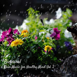 Binaural: Rain Music for Healthy Mind Vol. 2 - Rain and Chill