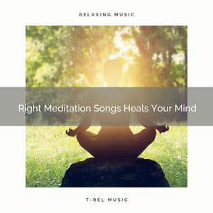 Right Meditation Songs Heals Your Mind - Timeless Relax