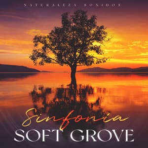 Sinfonía Soft Grove - Naturaleza Sonidos