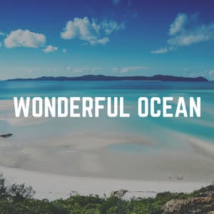Wonderful Ocean - Streaming Waves
