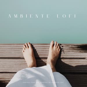 Sonidos Para Spa: Sonidos De Ambiente Lofi - Ritmos de hip-hop de Lofi