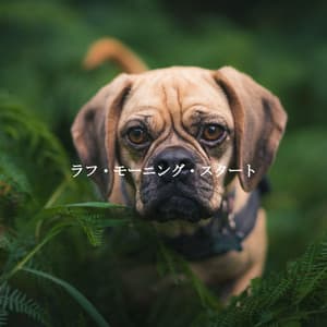 ラフ・モーニング・スタート - Hotel Lobby Jazz Group