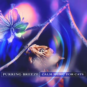 Purring Breeze - Calm Music for Cats