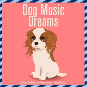 Dog Music Dreams : Ultimate Pet Relaxation Therapy Songs of Sound Healing - Relaxmydog