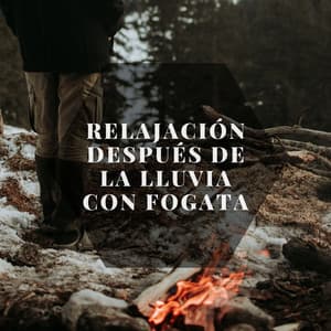 Relajación después de la lluvia junto a la fogata - Sonidos De Tormentas