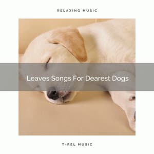 Leaves Songs For Dearest Dogs - Dog Relax