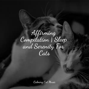 Affirming Compilation | Sleep and Serenity For Cats - Cats Music Zone