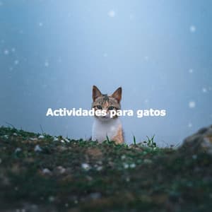 Actividades para gatos - Chill Out Dinner Jazz