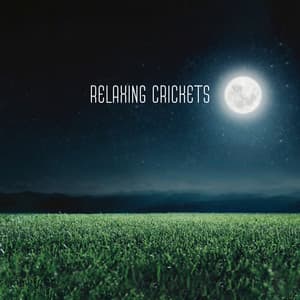 Relaxing Crickets: Good Night Sleep with Soothing Natural Sounds of Crickets by Field, Meadow and River - Trouble Sleeping Music Universe